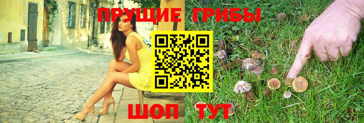 закладка  Псилоцибиновые грибы Psilocybine cubensis  Вход с VPN  Троицк 